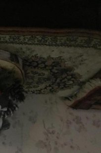 Het Meisje Dat Kerst Vierd