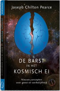 De barst in het kosmische ei