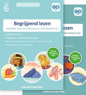 Begrijpend lezen - Compleet