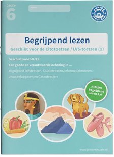 Begrijpend lezen