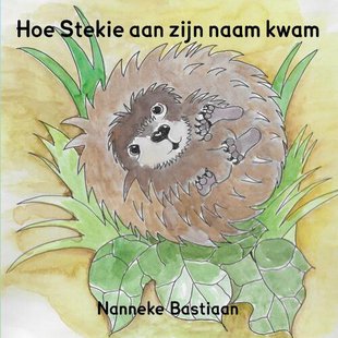 Hoe Stekie aan zijn naam kwam