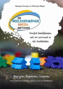 De Beelddenkende Breinmethode