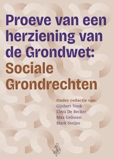 Proeve van een herziening van de Grondwet: Sociale Grondrechten