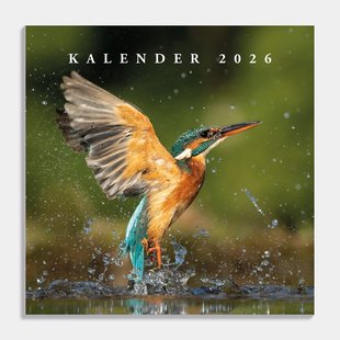 Jaarkalender Vogels 2026