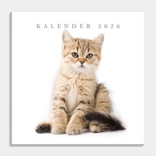 Jaarkalender Katten 2026