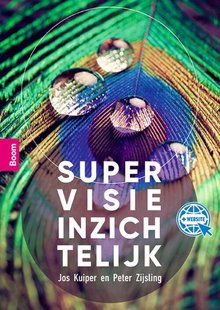 Supervisie inzichtelijk