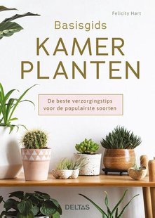Basisgids kamerplanten