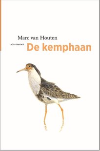 De Kemphaan