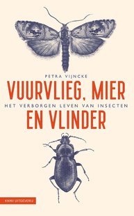 Vuurvlieg, mier en vlinder