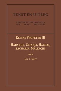 De Kleine Profeten III