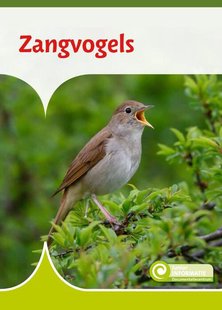 Zangvogels