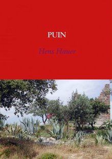 Puin