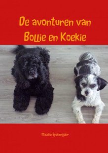 De avonturen van Bollie en Koekie