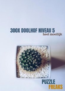 300X Doolhof Niveau 5