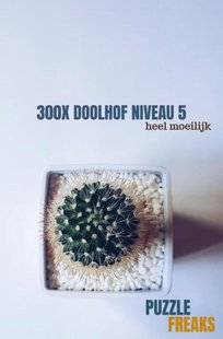 300X Doolhof Niveau 5