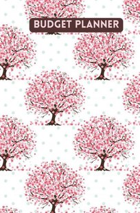 Budget planner - Kasboek - Huishoudboekje - Budgetplanner : Law of Attraction Editie