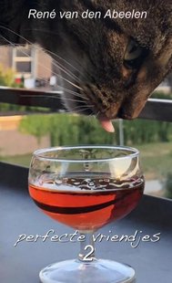 Perfecte vriendjes 2