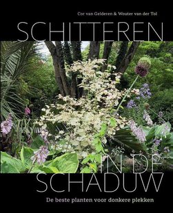 Schitteren in de schaduw