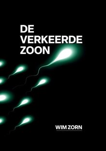 De Verkeerde Zoon