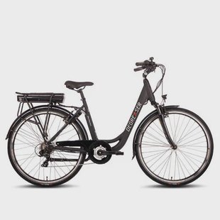 Saxonette Degreaser e-bike