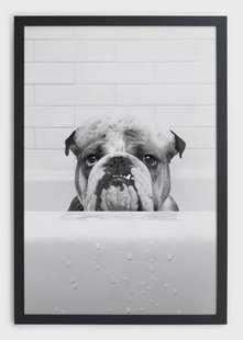 Wanddecoratie Bulldog in Tub | Really Nice Things