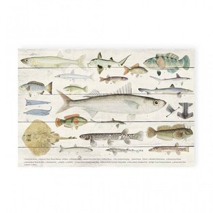 Wanddecoratie Fishes | Surdic