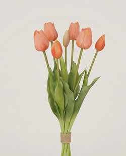 Bos premium kunsttulpen Olivia - Perzik