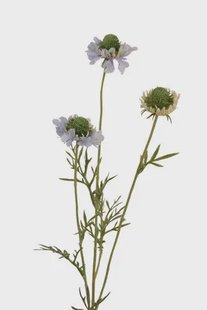 Kunstbloem Scabiosa - Lila - 64 cm