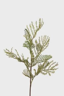 Kunstbloem Mimosa - Groen - 84 cm