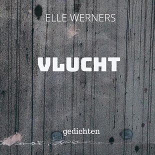 Vlucht
