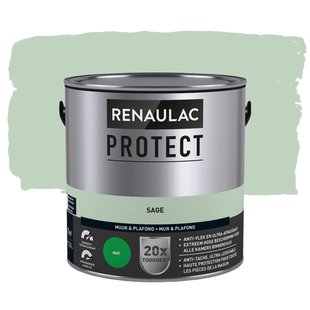 Renaulac Protect Muurverf - Mat - Sage - 2,5l