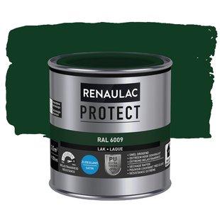 Renaulac Houtlak Protect - Zijdeglans - Dennengroen Ral 6009 - 250ml