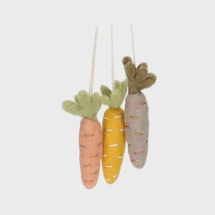 Hanger regenboogwortels, vilt