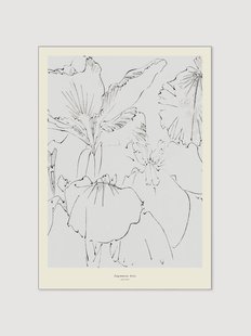 Poster Japanese Iris