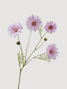 Kunstbloemen Daisy, 2-delig