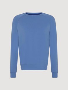 Katoenen fleece-/badstof heren trui Rib