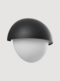 Outdoor wandlamp Scorpius