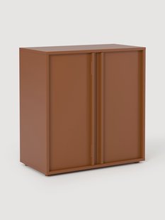 Module Ani voor modulaire wandkast