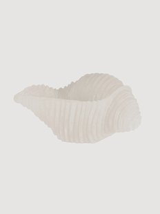 Handgemaakte kaars Cargol van schelp