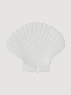 Decoratief bord Shell