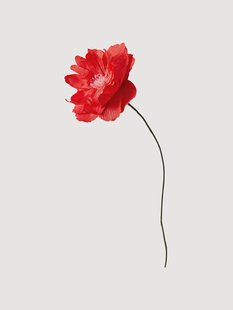 Handgemaakte kunstbloem Oriental Poppy