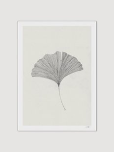 Poster Grinkgo Leaf