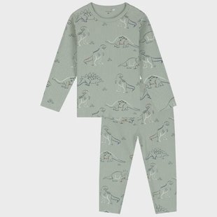 Prénatal peuter pyjama saurier