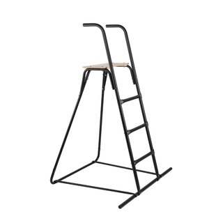Swing King Glijbaan Losstaande Trap - Hout En Metaal - 1 Persoon - Zwart - 220cm