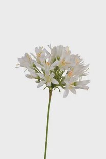 Kunstbloem Agapanthus - Wit - 60 cm