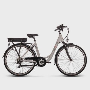 Saxonette Degreaser e-bike