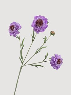 Kunstbloemen Scabiosa, 2-delig