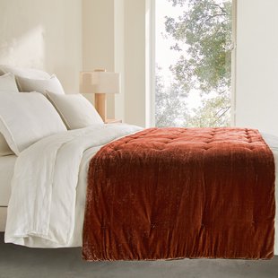 Fluwelen dekbed, Vezina