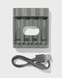 HEMA GP batterij lader