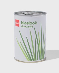 HEMA Groeiblik bieslook